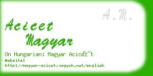 acicet magyar business card